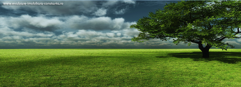 - Serviciile expertilor nostri se axeaza pe consultanţă granturi, Due Diligence, Fuziuni/Achiziţii, Restructurare financiară si nu numai ...